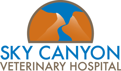 Sky Canyon Vet Hospital